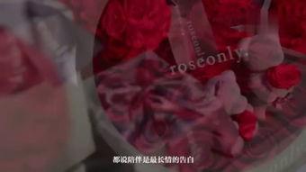 圣诞玫瑰在线观看,在线观看,探寻神秘圣诞节的浪漫传说 第1张 圣诞玫瑰在线观看,在线观看,探寻神秘圣诞节的浪漫传说 第1张